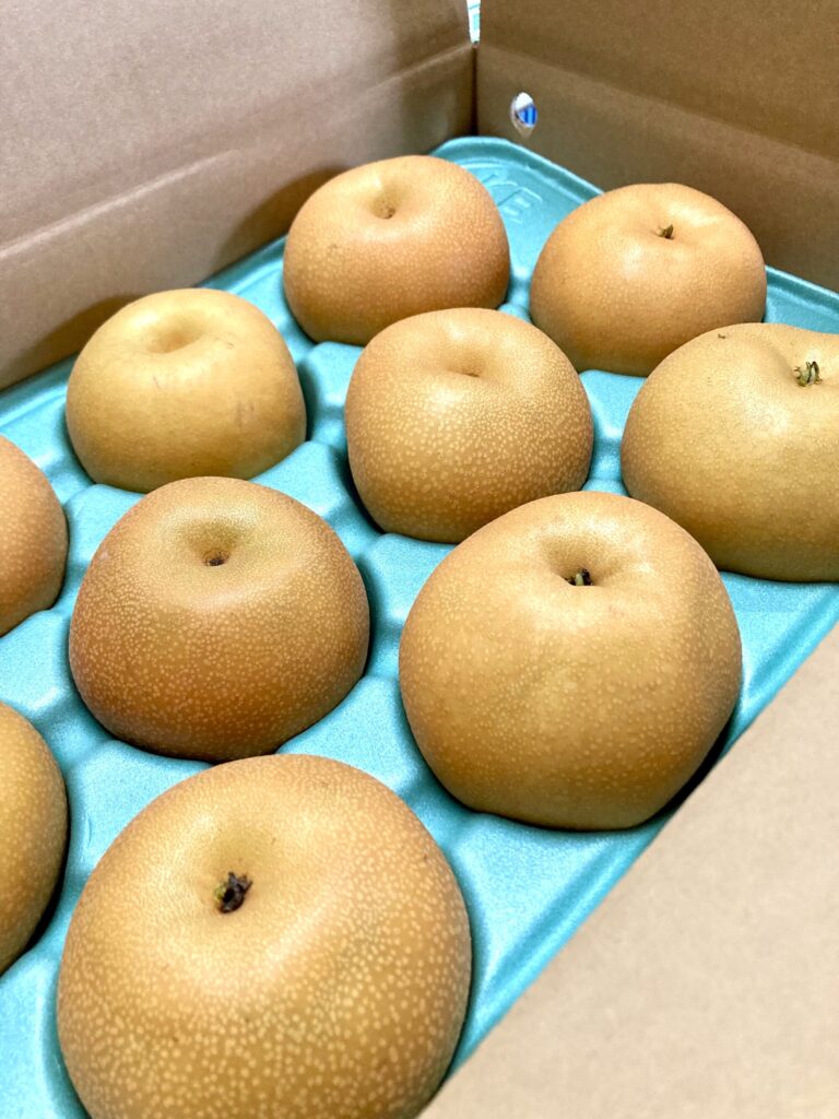 彩玉始まりました!