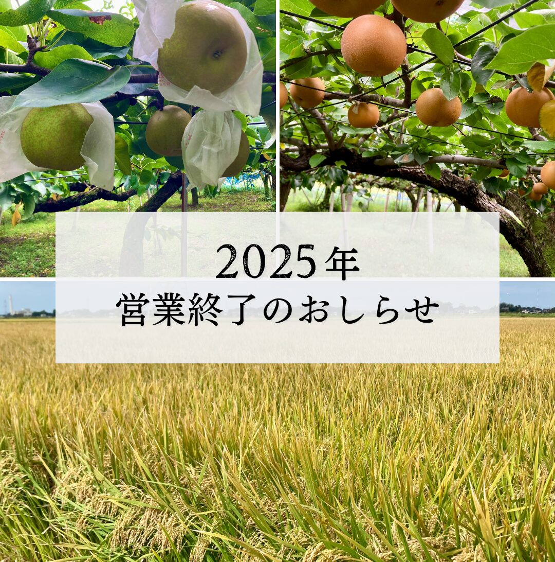 2025年直売所営業終了のお知らせ