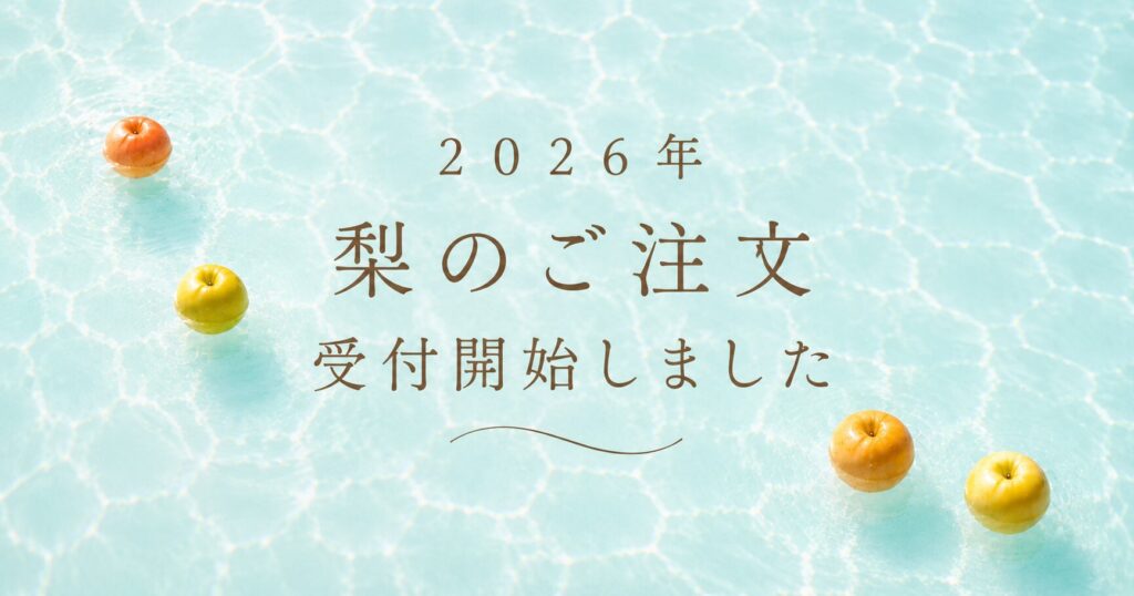 2026年　梨の予約開始のお知らせ