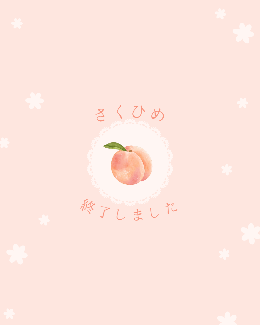 桃の販売終了しました