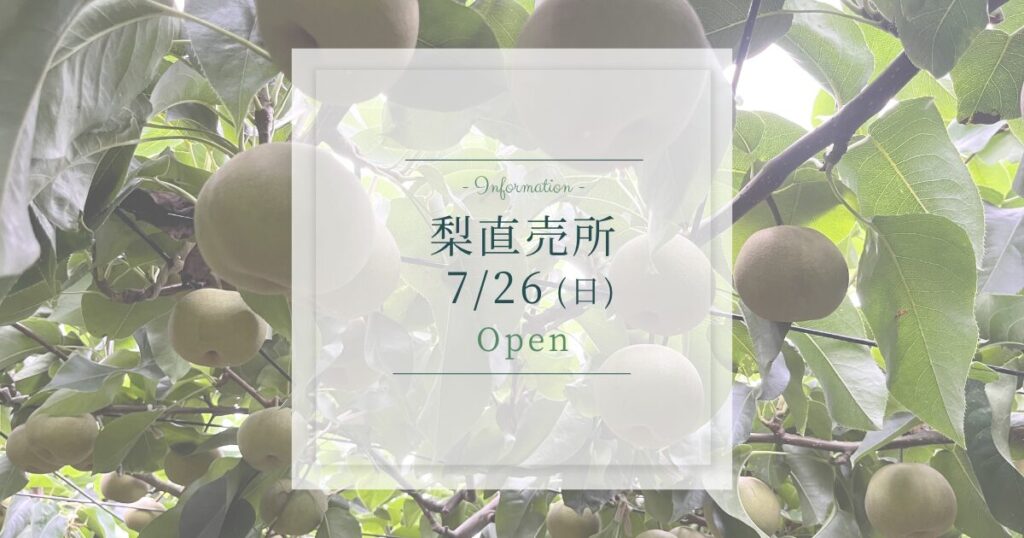 直売所は7/26(日)から営業開始します!