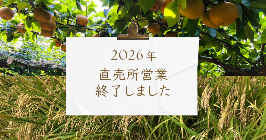 2026年度の直売所の営業は終了いたしました