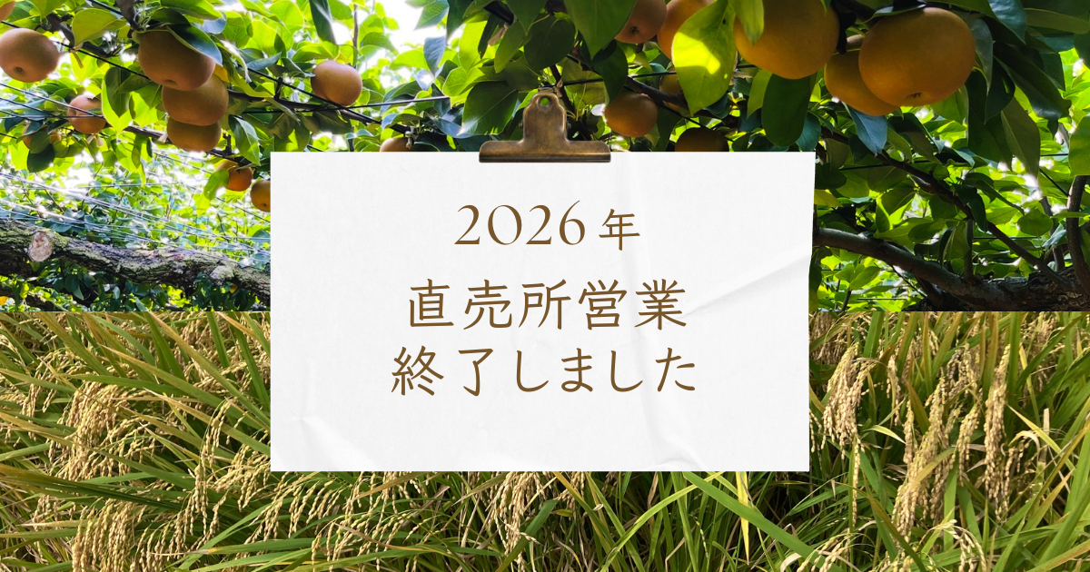 2026年度の直売所の営業は終了いたしました